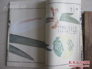 灌园版 本草图谱 菜部一册 彩色胶版印刷 稀缺的植物图鉴书籍 某文库藏书18开35页