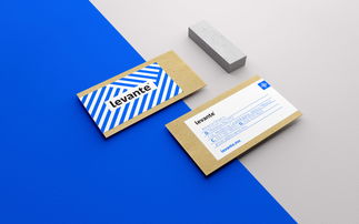 levante. 新房地产公司品牌视觉形象设计