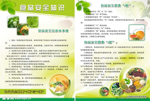 食品安全宣传单设计图 dm宣传单